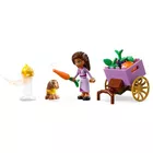 LEGO Klocki Disney Princess 43223 Asha w Rosas