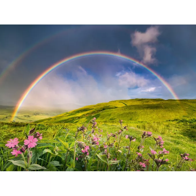 Ravensburger Polska Puzzle 1500 elementów Tęcza nad łąka
