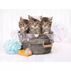 Puzzle 500 elementów High Quality Kittens and Soap