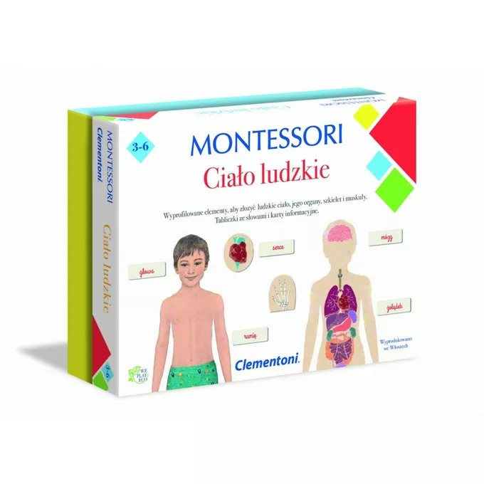 Gra Montessori Ciało ludzkie