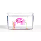 Figurka Little Live Pets Pływająca rybka z akwarium