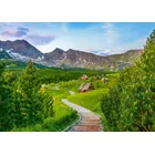 Castor Puzzle 500 elementów Szlak w Tatrach, Polska