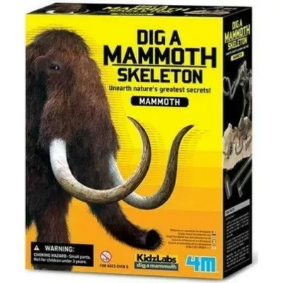 4m Zestaw naukowy Wykopaliska - Mamut