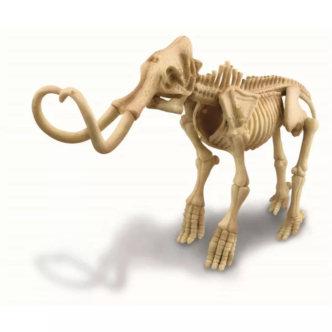 Wykopaliska - Mamut