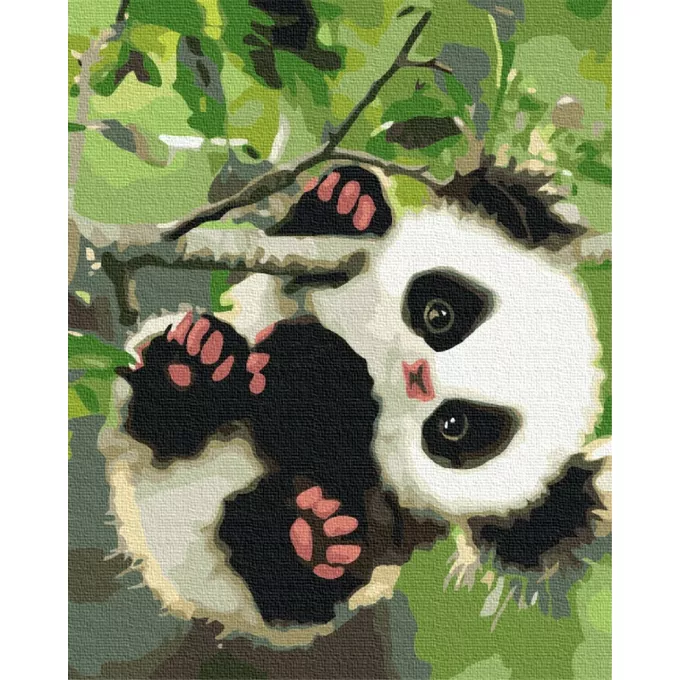 Symag Obraz Paint it! Malowanie po numerach. Słodka panda