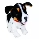 Maskotka interaktywna Figo Pies reagujący na komendy Jack Russel Terrier