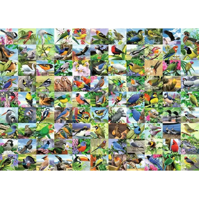 Puzzle 2D Duży Format 99 zachwycających ptaków 300 elementów