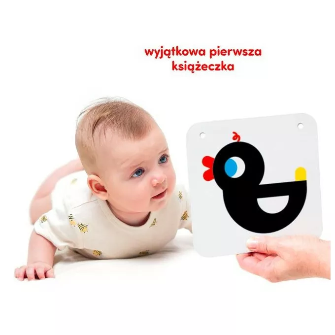 CzuCzu Duże karty kontrastowe dla dzieci 0 i 3 mies.+