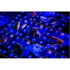 Portal Games Gra Fotosynteza: W blasku księżyca
