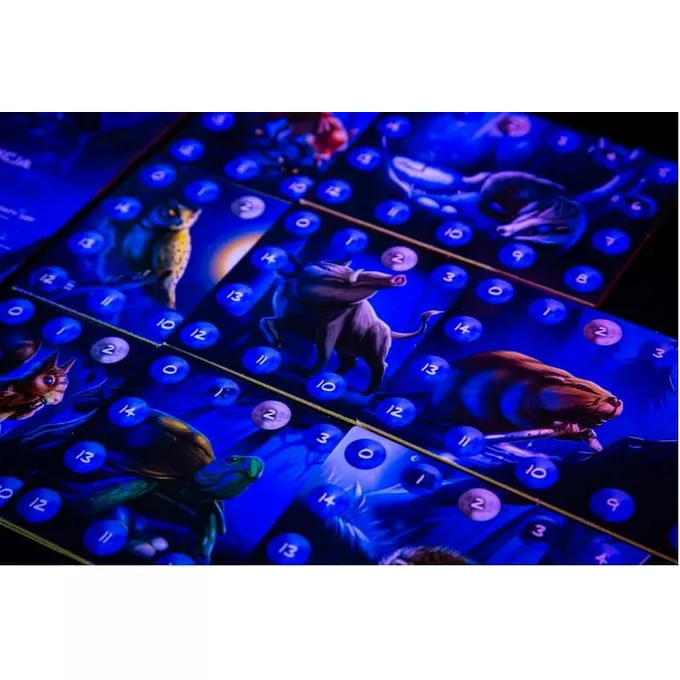 Portal Games Gra Fotosynteza: W blasku księżyca