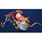 Playmobil Zestaw z figurkami Dragons: The Nine Realms - Wu &amp; Wei i Jun 71080